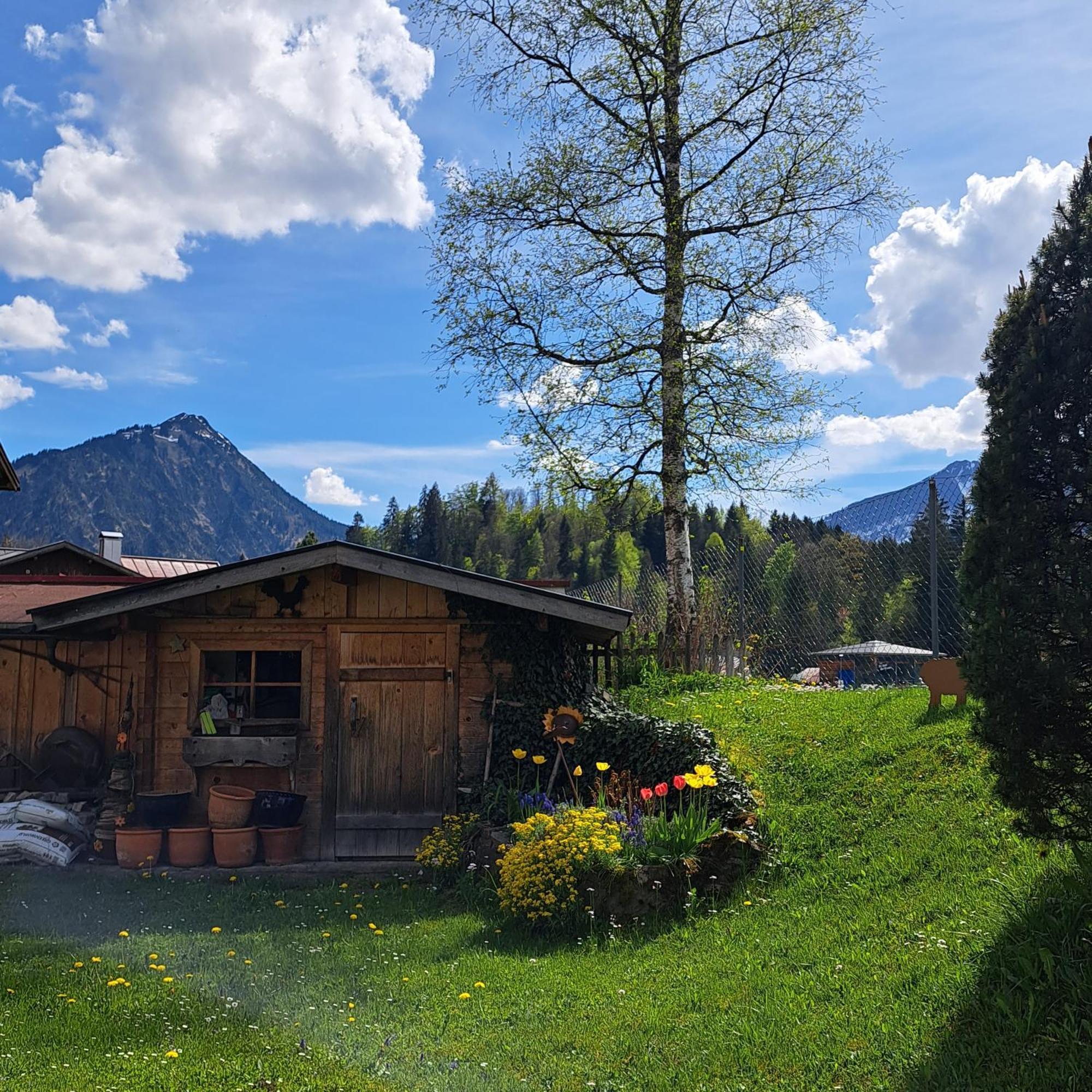 Faltenbach Ferienwohnungen in Oberstdorf Exterior foto